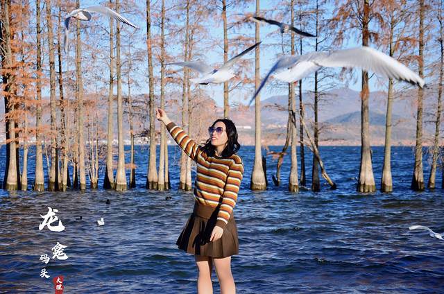 云南旅游全攻略自由行大理洱海,云南旅游攻略三日游洱海