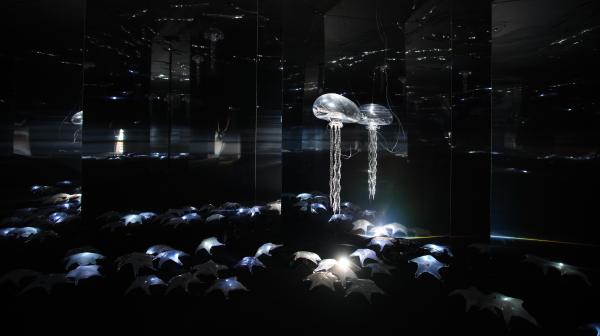 上官婉儿墓志展出,上官婉儿墓志首次面出