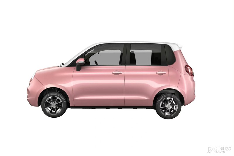 百智大猫最新消息,百智大猫滨州有没有店