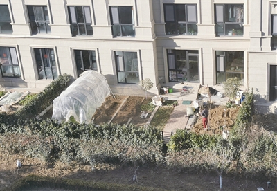 开发商把绿化变私人花园怎么处理,一楼圈地建私家花园怎么处理最好