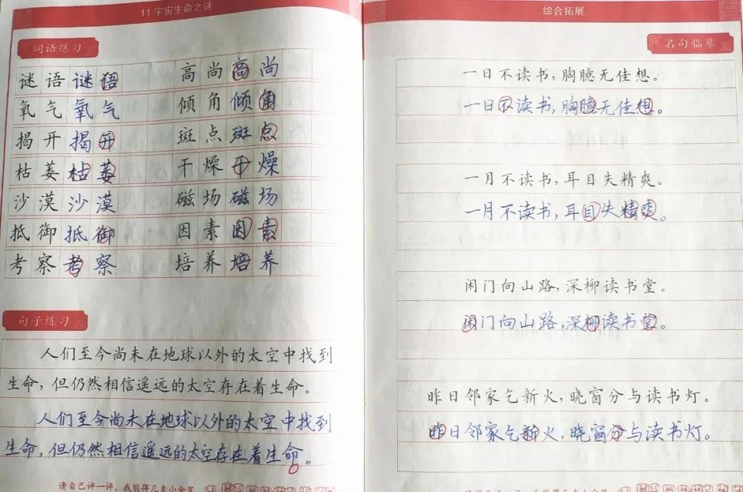甘肃临洮第三实验小学,双减形式下小学的作业如何改革