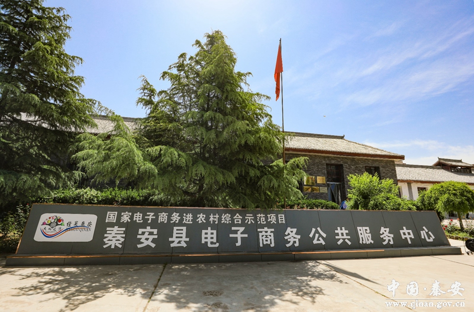 电商经济激活乡村振兴新引擎,秦安县乡村振兴