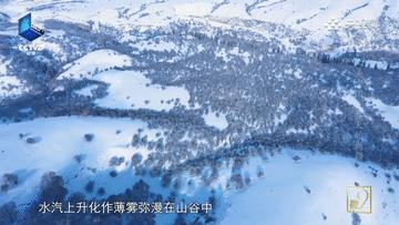 滴！跟着CCTV的镜头打卡*疆新**之春