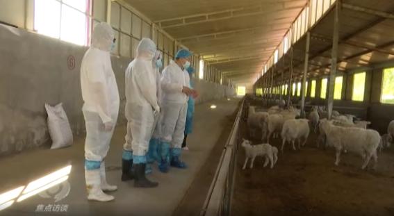 科技小院对乡村振兴的意义,科技小院助力乡村振兴