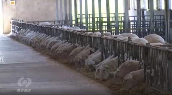 科技小院对乡村振兴的意义,科技小院助力乡村振兴