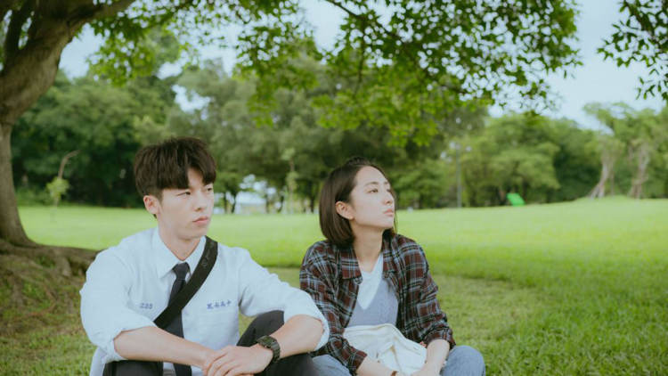 公园里踩不死的草坪是什么草,公园里的草坪真的不能踩吗