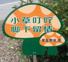 公园里踩不死的草坪是什么草,公园里的草坪真的不能踩吗