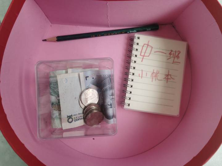 当班级里来了两只鸡……这群孩子不仅孵了蛋，赚了钱，还进行了生命教育