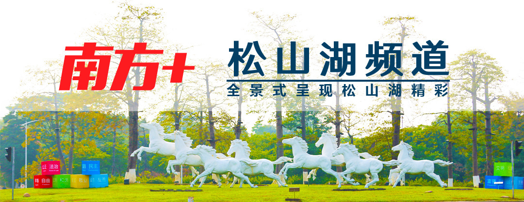 2021松山湖教师招聘,东莞市松山湖学校教师招聘信息