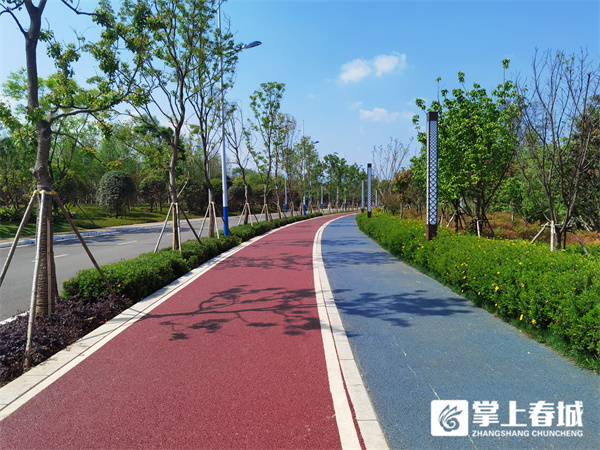 滇池绿道最新消息,滇池绿道规划图