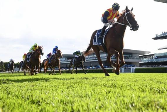 关于世界最强马匹排行榜,关于世界名贵马匹排行榜大全