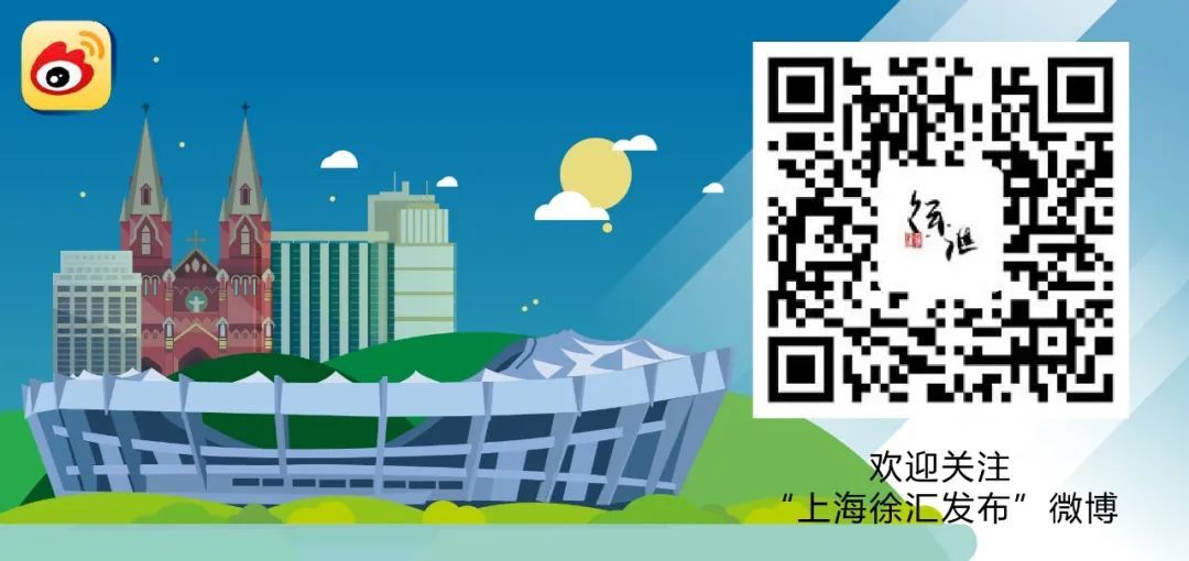 流浪猫自动喂粮器防蚂蚁,流浪猫自动喂猫粮