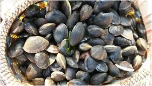 长海县旅游攻略海滩,长海县海岛赶海地点推荐