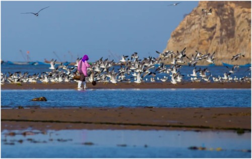 长海县旅游攻略海滩,长海县海岛赶海地点推荐