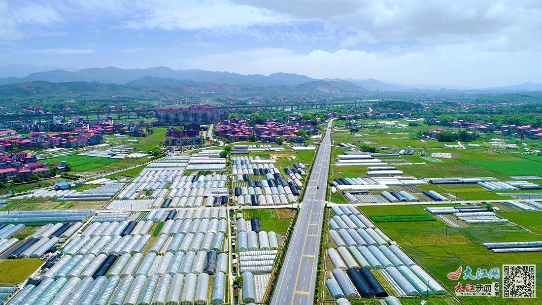 综合产值5.1亿元探寻江西芦溪“富硒”富民密码