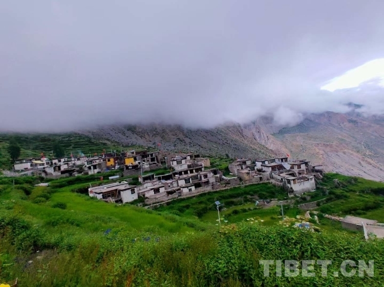 致敬高原上的守护者图片,致敬风雪路上守护者