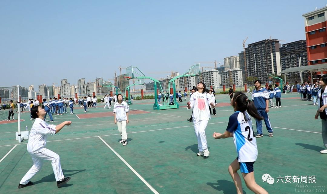 双减政策下的课后服务行动策略,落实双减课后服务报道