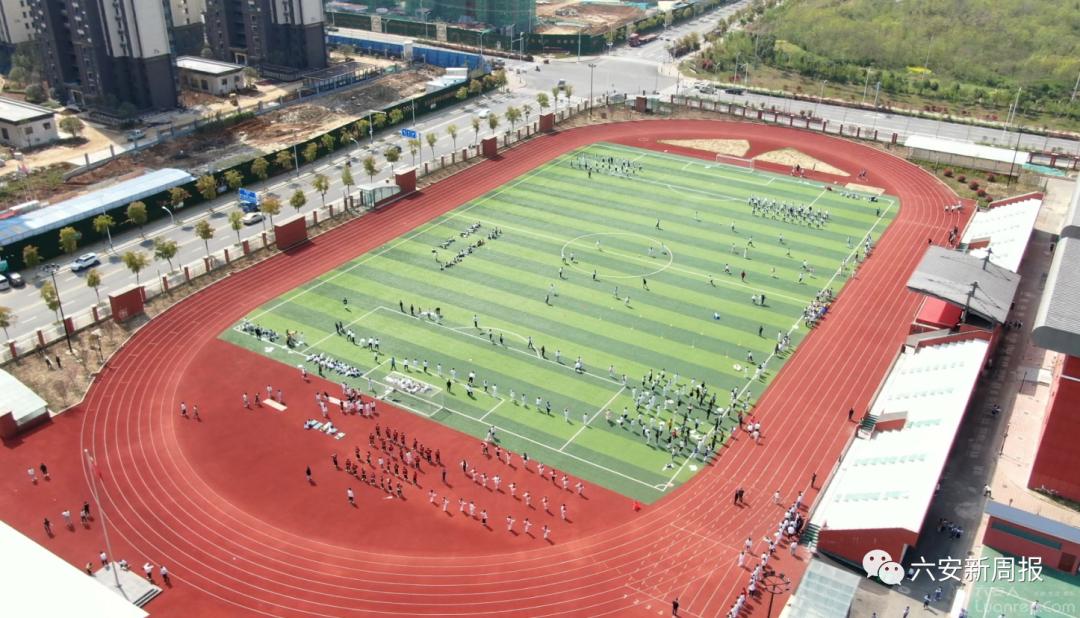 双减政策下的课后服务行动策略,落实双减课后服务报道