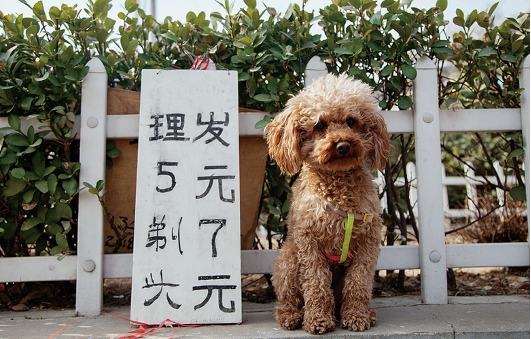 街头理发师打扫卫生,印度街头疯狂理发师