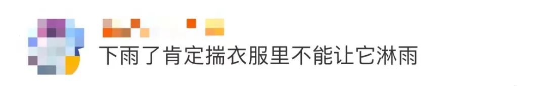 古驰和adidas联名雨伞,adidasgucci联名雨伞在哪里买