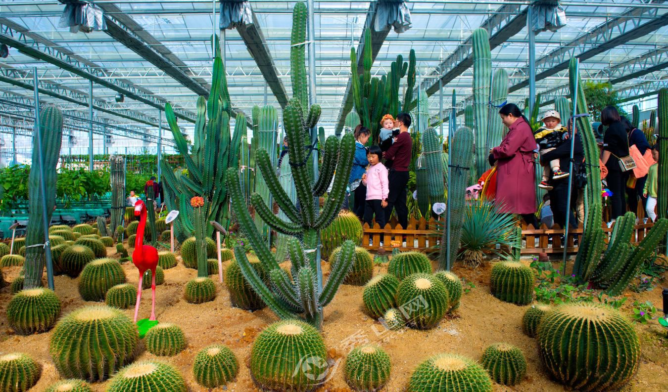 秀山周末旅游攻略图片大全,秀山旅游一日游