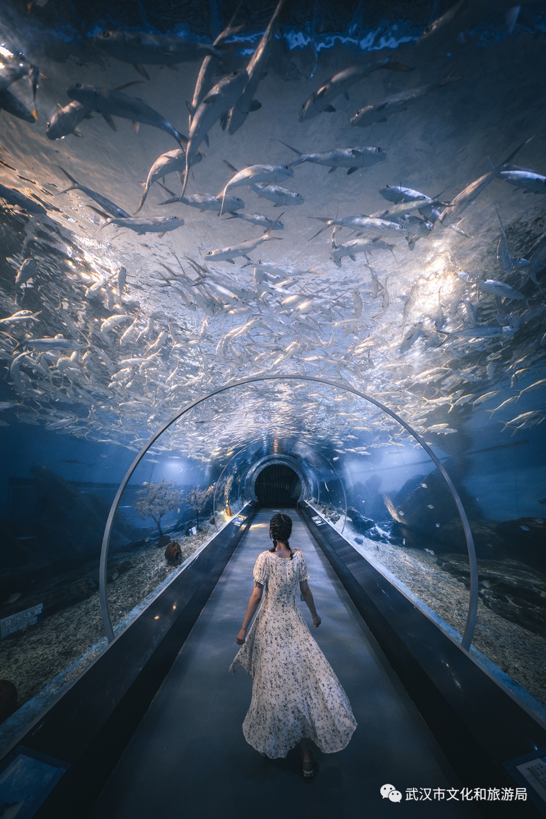 武汉十大必玩处,武汉十大儿童必玩地方