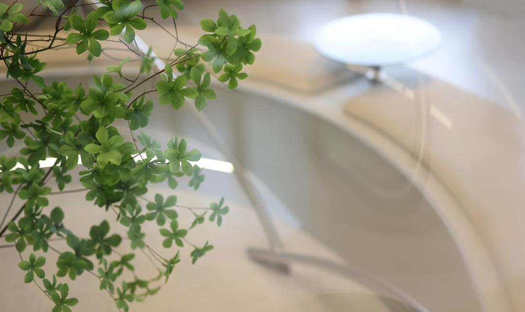 分析喜茶成功的原因,喜茶产品设计风格