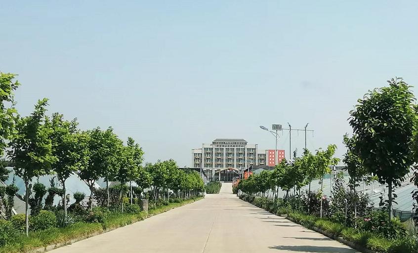 从空心到振兴的蝶变之源,从贫困村到示范村的蝶变