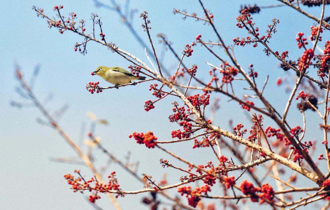 厚积薄发方能行稳致远,厚积薄发行稳致远原文