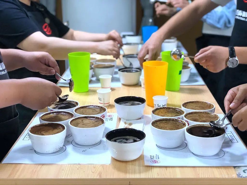 中国咖啡生豆大赛有哪些,2024云南咖啡生豆大赛