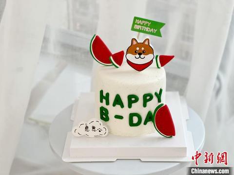 现在的年轻人都爱养宠物,现在年轻人喜欢养什么宠物