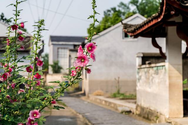 铜陵文化历史,安徽铜陵文化特色