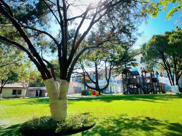 楂樿川閲忕殑鍥湰鏁欏鐮斾慨娲诲姩,浼樿川鍥湰璇剧▼