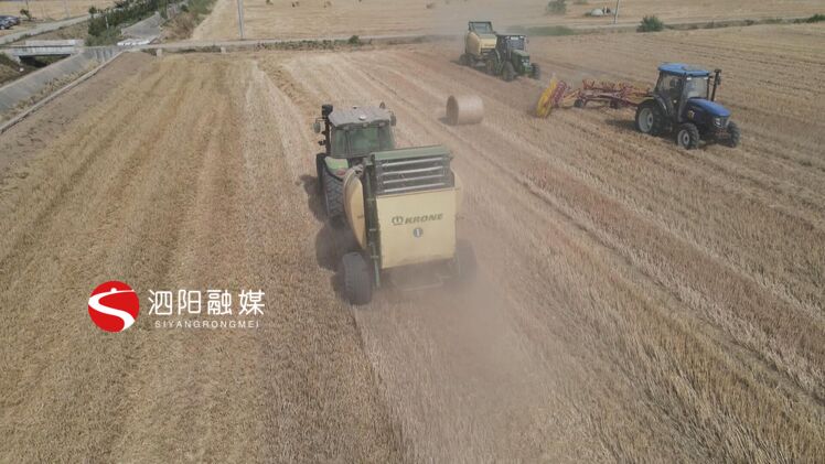 澶氭帾骞朵妇绉哥鎵撳寘,娉楅槼绉哥