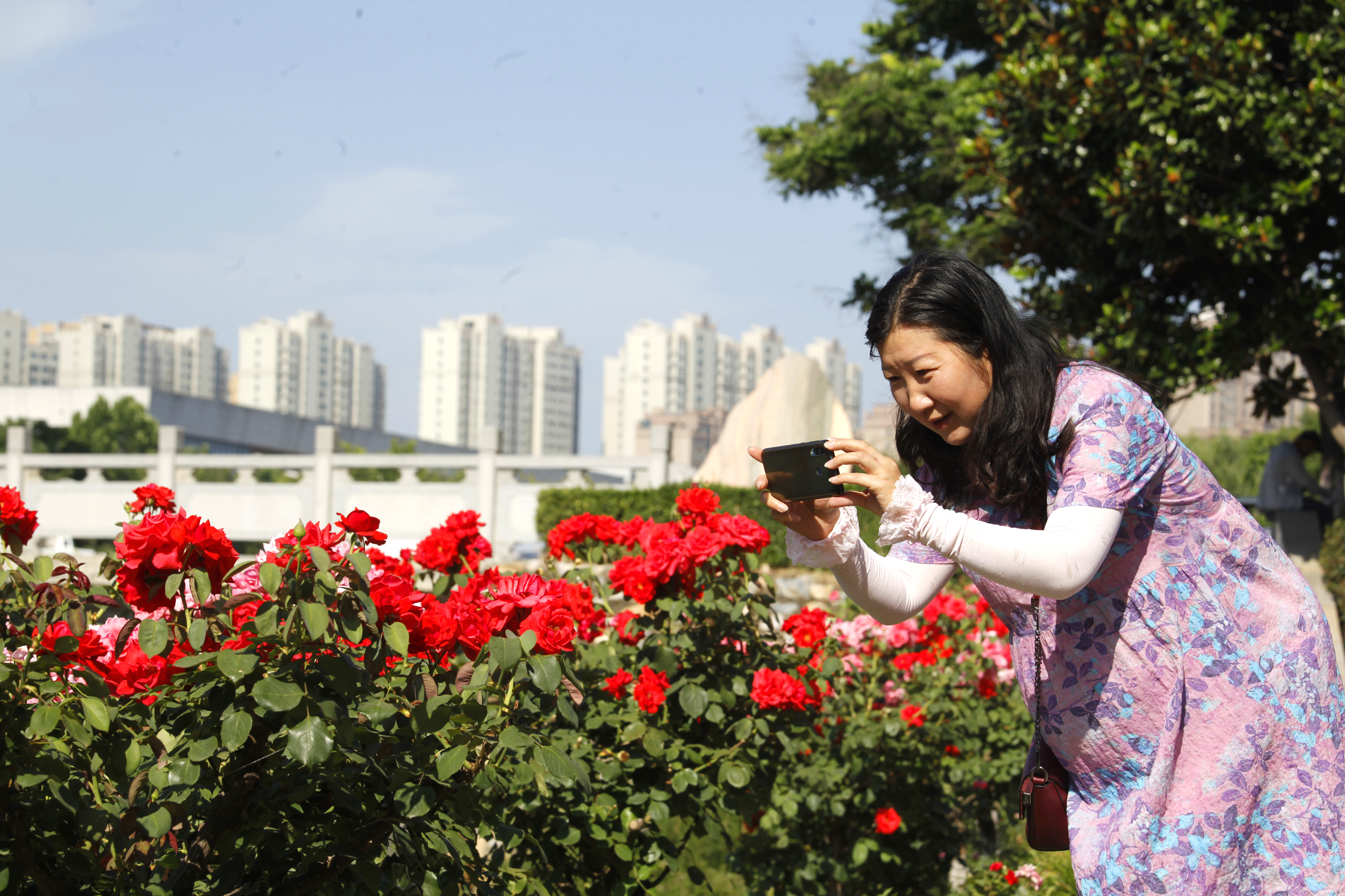 河南南阳市如家酒店,南阳如家纹眉