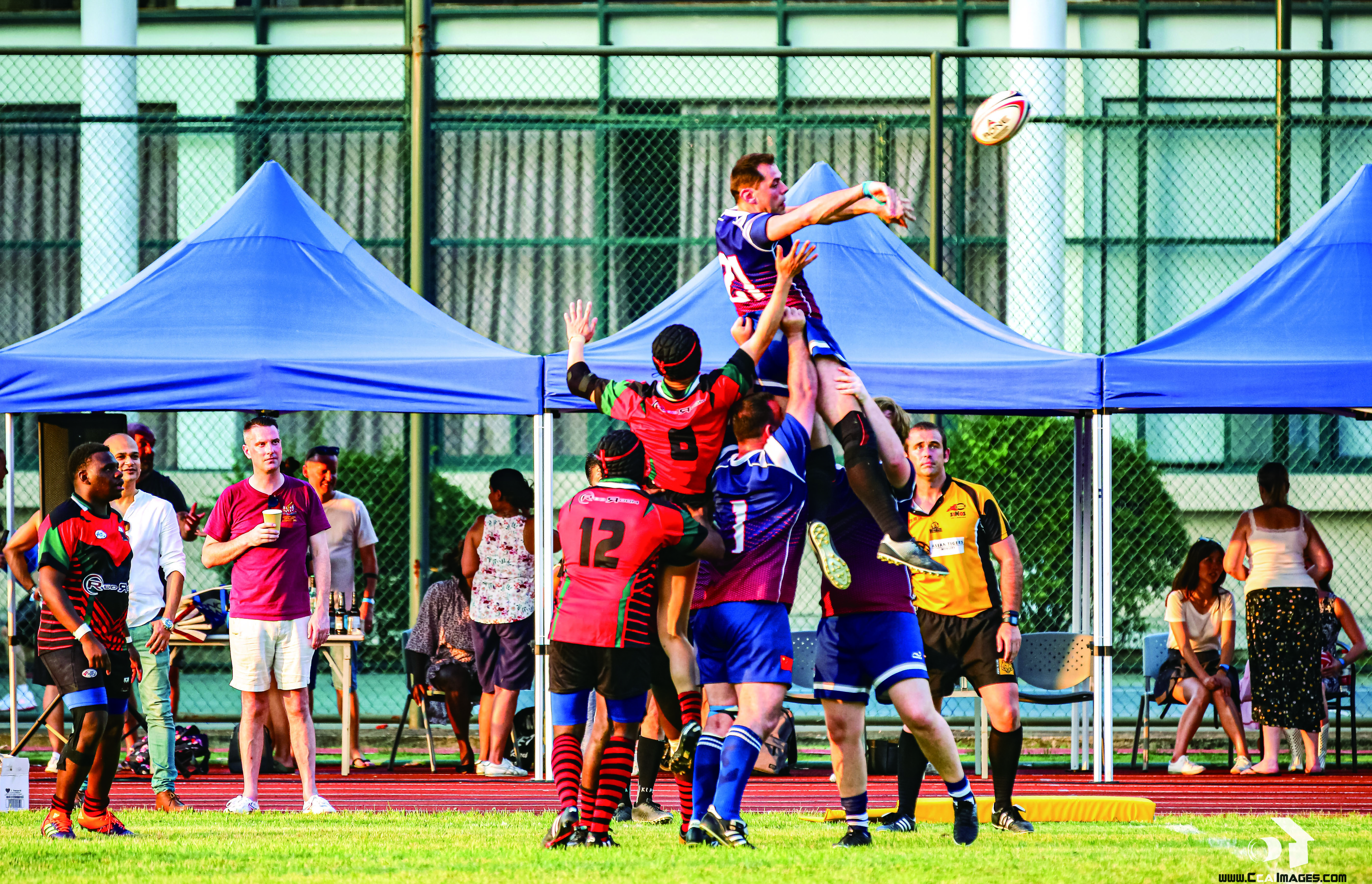 宁波诺丁汉大学23年全国排名,福布斯中国30under30榜单