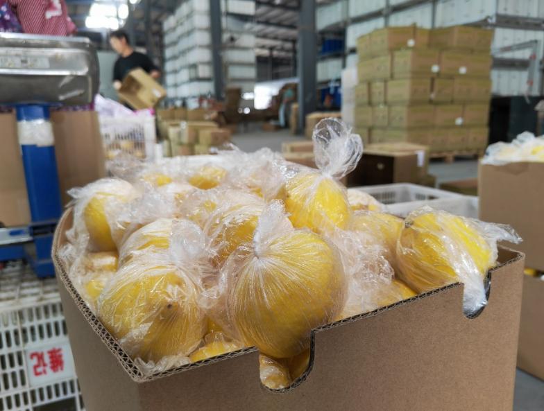 一年卖上百吨柠檬,一年卖出300亿瓶可口可乐