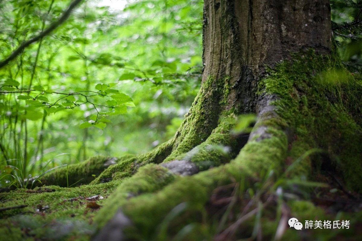 三明100个景点,三明5a级景区有哪些