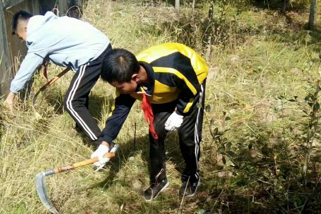 我和我的共青团故事,我和我的共青团故事演讲稿