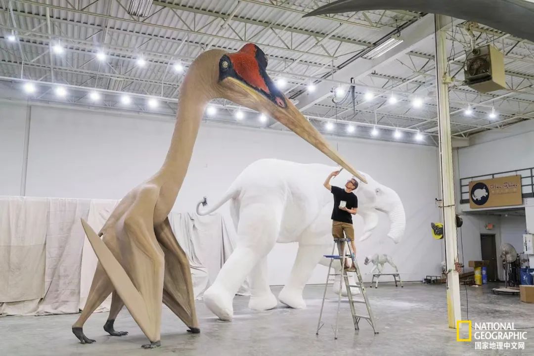 最伟大的作品6张照片,30秒最伟大的作品