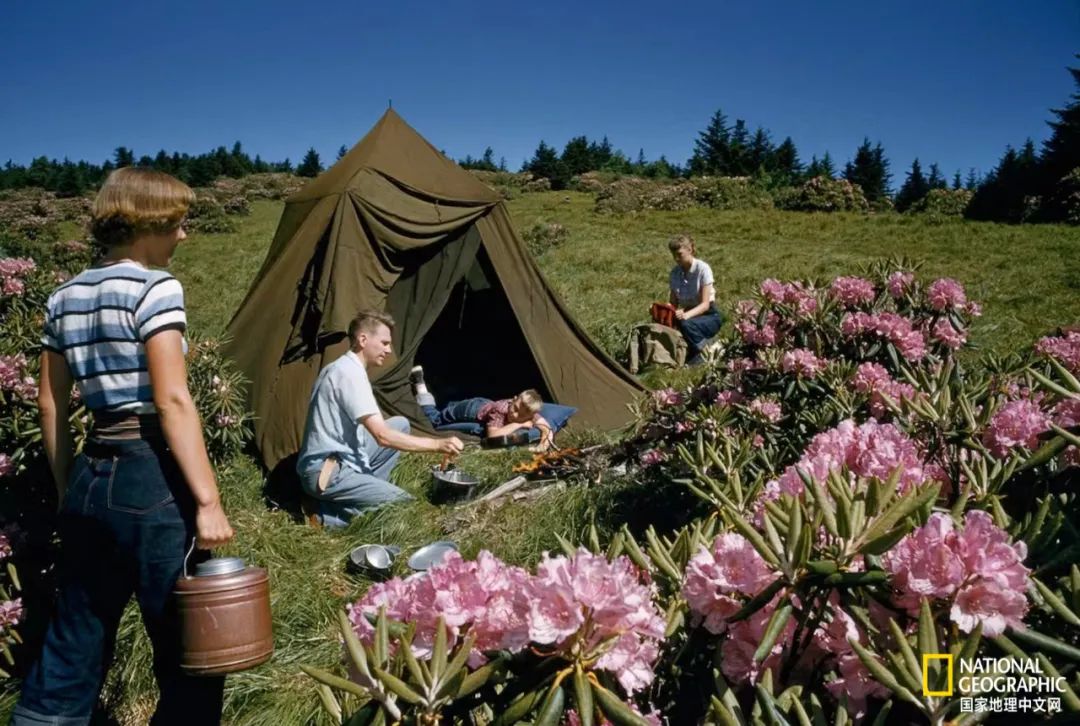 30张“最伟大的作品”