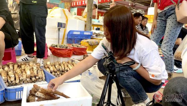 野生菌市场直播,新鲜野生菌菇直播带货