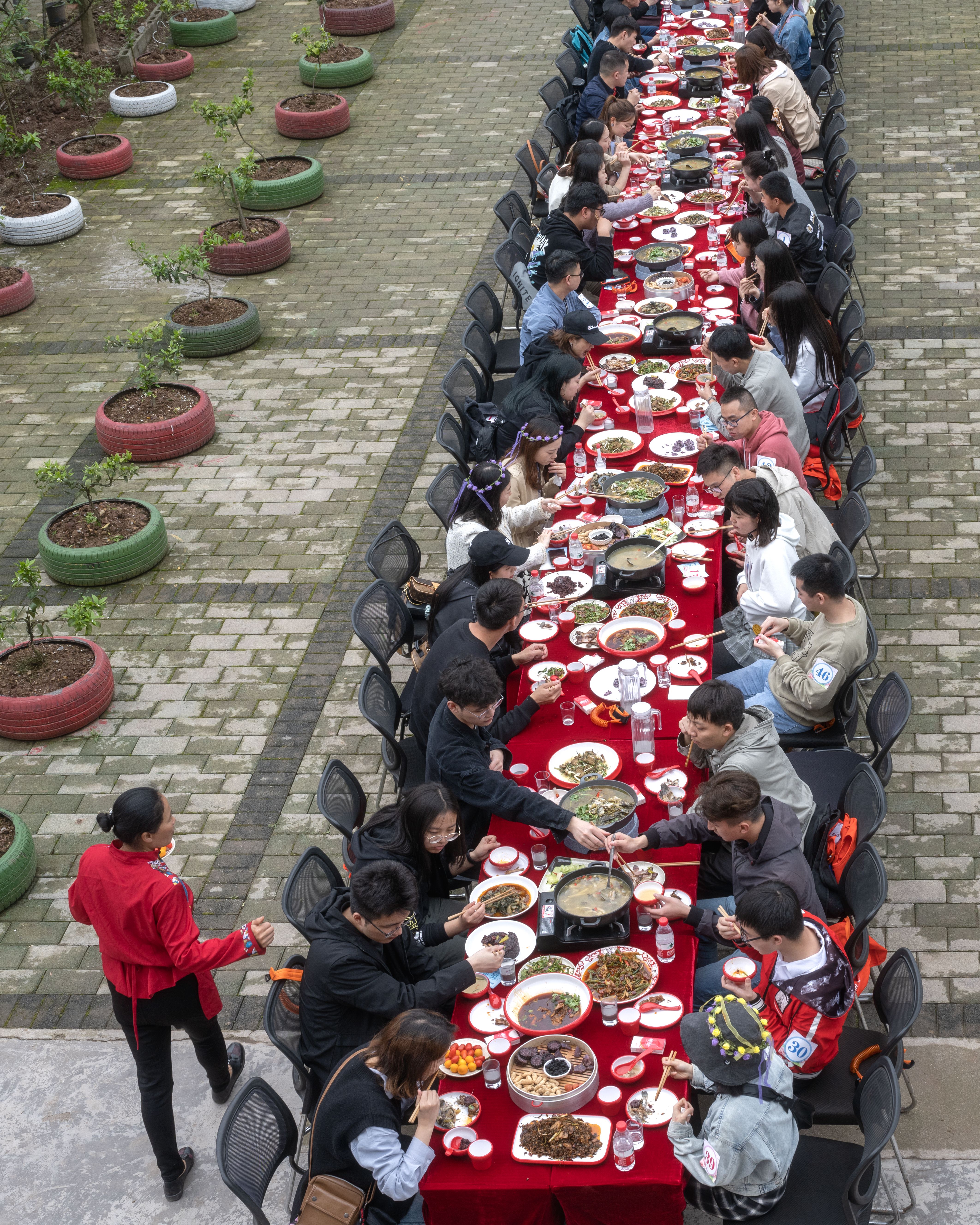 巴南区乡村振兴规划,巴南区振兴乡村
