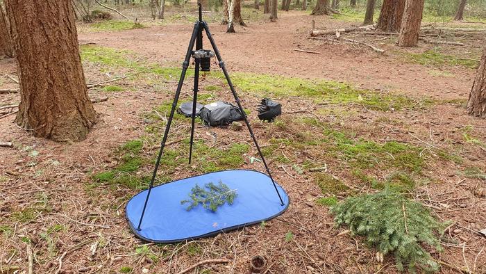 为游戏引擎创作资源真的能赚钱吗？