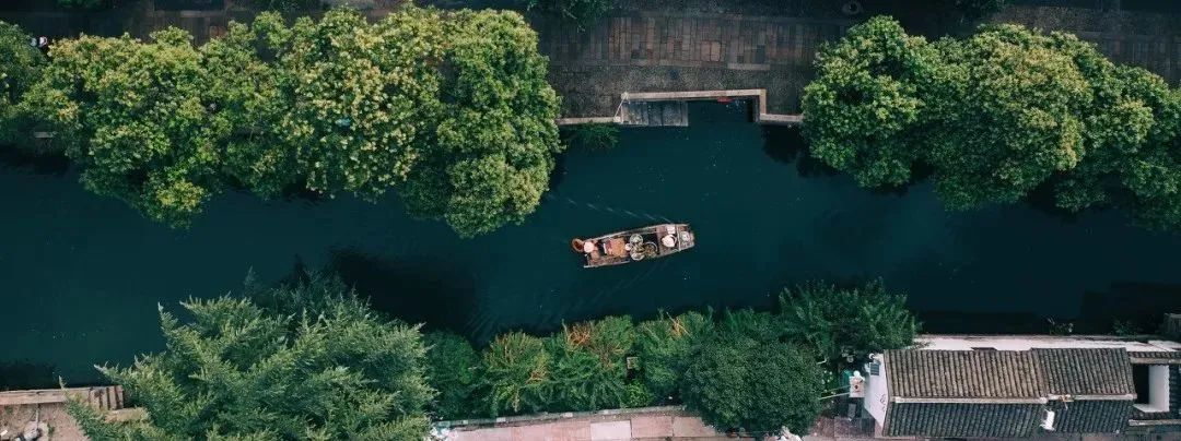 苏州一如既往的夏天,苏州夏日时光