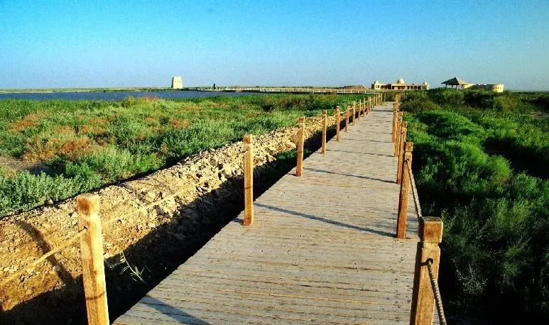 在九月要干什么工作好,九月最想做的事情