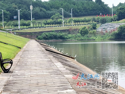 水体变绿发臭,水质发黑发绿发臭