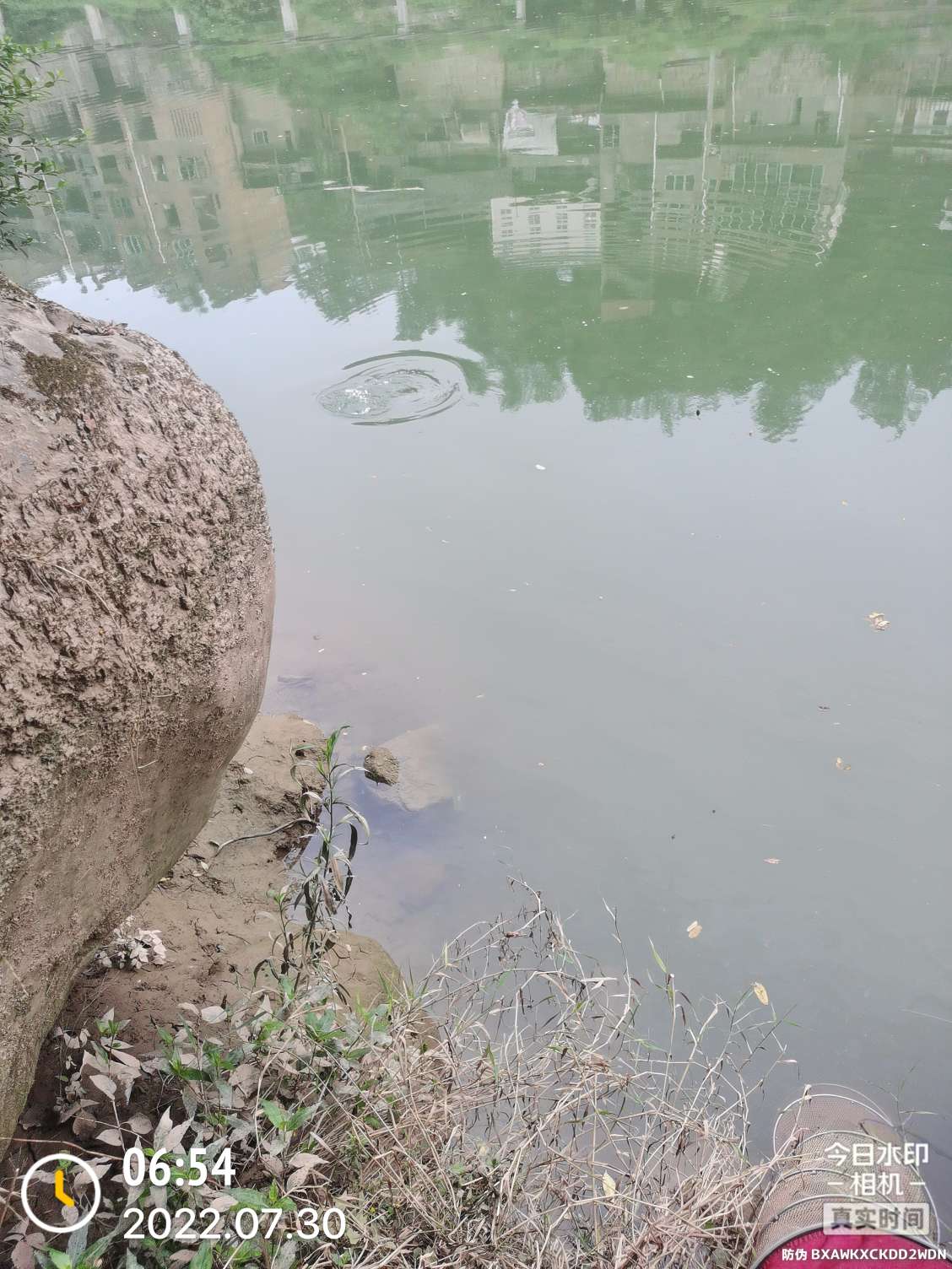 「七月鱼获」骗最憨的巨草！上最憨的洋当