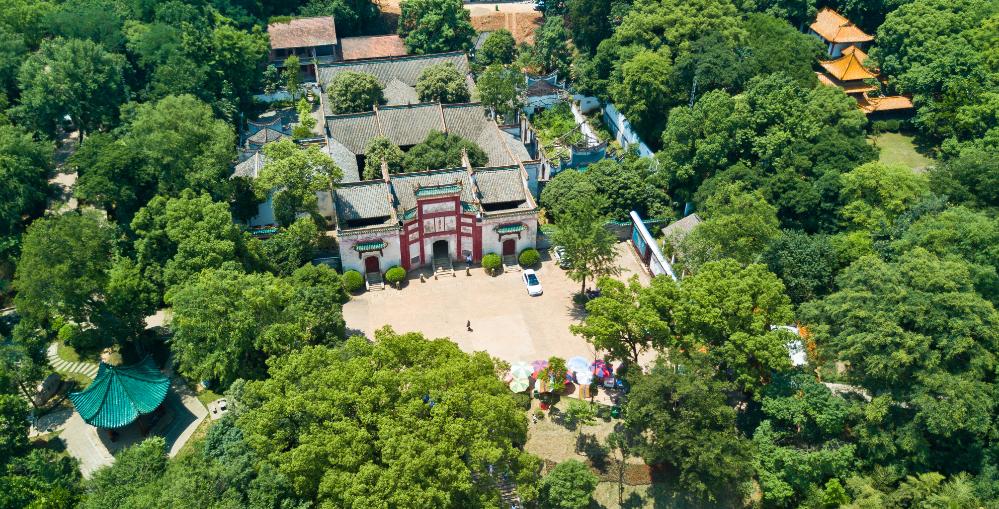 文旅融合赋能铸魂,文旅融合绘画