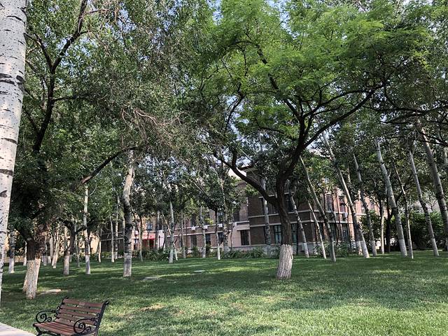 天津悠闲游玩攻略,天津趣味之旅